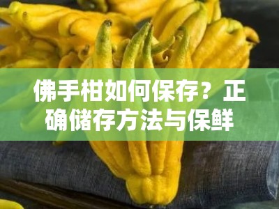 佛手柑如何保存？正确储存方法与保鲜技巧全解析