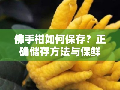 佛手柑如何保存？正确储存方法与保鲜技巧全解析