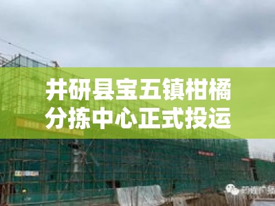 井研县宝五镇柑橘分拣中心正式投运，打造川南果品集散枢纽