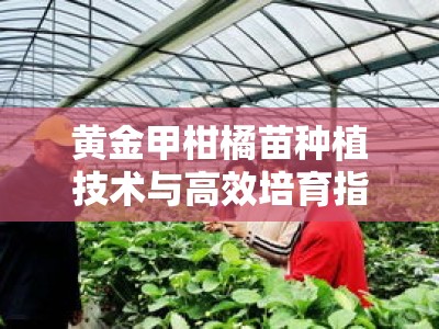 黄金甲柑橘苗种植技术与高效培育指南