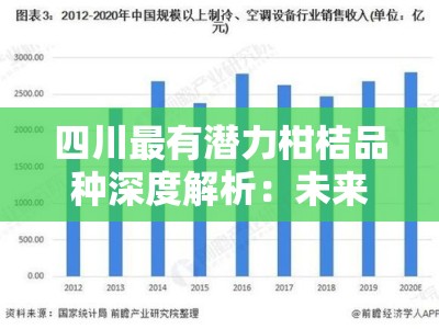 四川最有潜力柑桔品种深度解析：未来市场崛起与产业新机遇