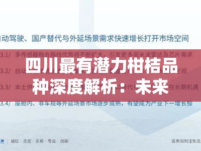 四川最有潜力柑桔品种深度解析：未来市场崛起与产业新机遇