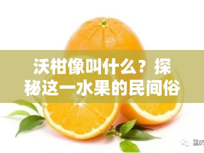沃柑像叫什么？探秘这一水果的民间俗称与别称由来
