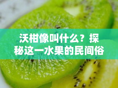 沃柑像叫什么？探秘这一水果的民间俗称与别称由来