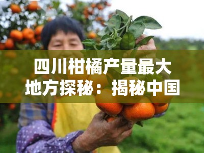 四川柑橘产量最大地方探秘：揭秘中国柑橘之乡的丰收密码