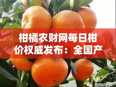 柑橘农财网每日柑价权威发布：全国产区行情速递与价格走势分析