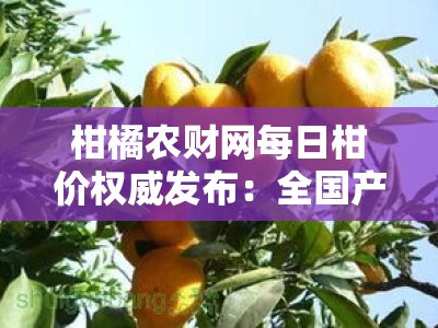柑橘农财网每日柑价权威发布：全国产区行情速递与价格走势分析