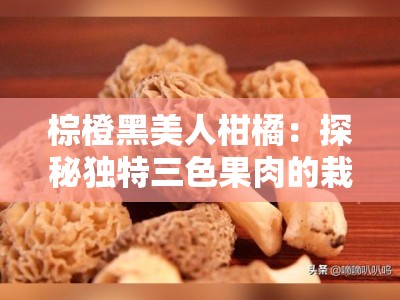 棕橙黑美人柑橘：探秘独特三色果肉的栽培新宠与市场前景