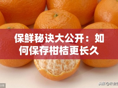 保鲜秘诀大公开：如何保存柑桔更长久且避免腐烂的7个实用技巧