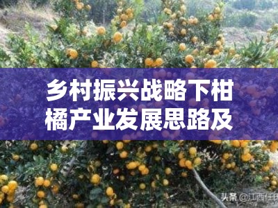 乡村振兴战略下柑橘产业发展思路及前景分析与创新路径研究