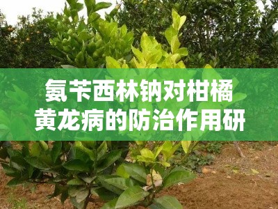 氨苄西林钠对柑橘黄龙病的防治作用研究：有效性及潜在应用前景评估