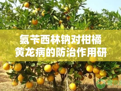 氨苄西林钠对柑橘黄龙病的防治作用研究：有效性及潜在应用前景评估