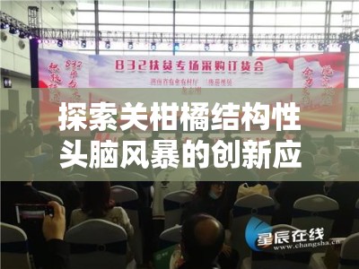 探索关柑橘结构性头脑风暴的创新应用与多维实践路径