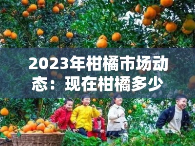 2023年柑橘市场动态：现在柑橘多少钱一斤？最新行情走势分析