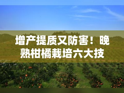 增产提质又防害！晚熟柑橘栽培六大技术全解析