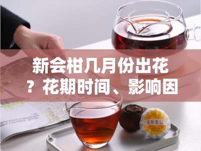 新会柑几月份出花？花期时间、影响因素与种植管理解析