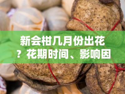 新会柑几月份出花？花期时间、影响因素与种植管理解析