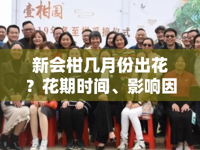 新会柑几月份出花？花期时间、影响因素与种植管理解析