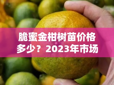 脆蜜金柑树苗价格多少？2023年市场行情及各地价格对比分析