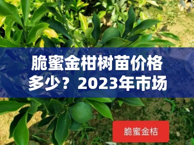 脆蜜金柑树苗价格多少？2023年市场行情及各地价格对比分析
