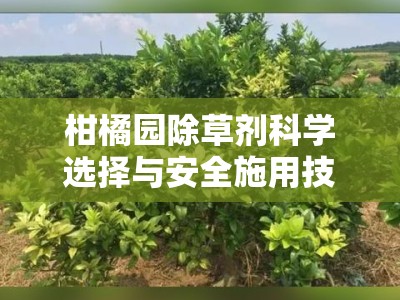 柑橘园除草剂科学选择与安全施用技术要点解析