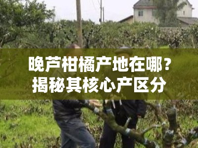 晚芦柑橘产地在哪？揭秘其核心产区分布与地理优势