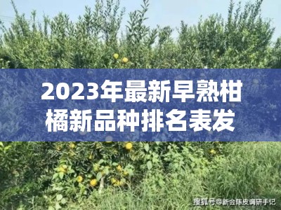 2023年最新早熟柑橘新品种排名表发布，果农必看的高产优质种植指南