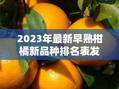 2023年最新早熟柑橘新品种排名表发布，果农必看的高产优质种植指南