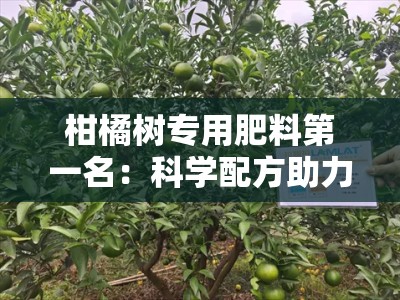 柑橘树专用肥料第一名：科学配方助力高产，果农首选的行业领军品牌！