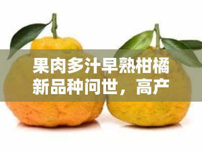 果肉多汁早熟柑橘新品种问世，高产优质引领市场新趋势