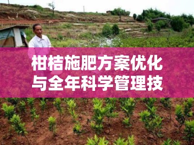 柑桔施肥方案优化与全年科学管理技术指南