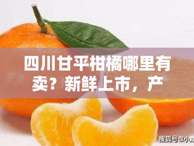 四川甘平柑橘哪里有卖？新鲜上市，产地直供购买指南