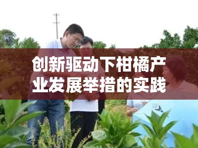 创新驱动下柑橘产业发展举措的实践探索与策略优化＂（20字）
