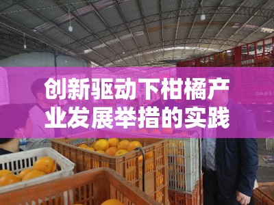 创新驱动下柑橘产业发展举措的实践探索与策略优化＂（20字）