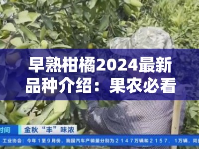 早熟柑橘2024最新品种介绍：果农必看的种植技术与市场前景解析