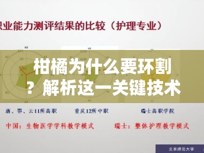 柑橘为什么要环割？解析这一关键技术的增产原理与科学依据