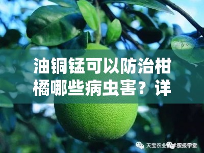 油铜锰可以防治柑橘哪些病虫害？详解其应用与效果解析