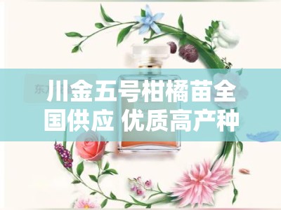 川金五号柑橘苗全国供应 优质高产种苗基地直发