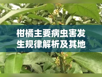 柑橘主要病虫害发生规律解析及其地域分布特征与周年动态研究