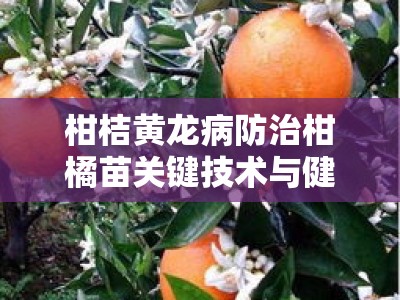 柑桔黄龙病防治柑橘苗关键技术与健康管理实践解析