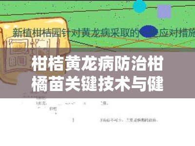 柑桔黄龙病防治柑橘苗关键技术与健康管理实践解析