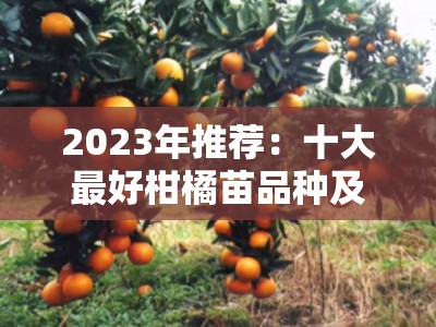 2023年推荐：十大最好柑橘苗品种及高产抗病种植指南