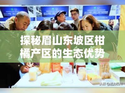 探秘眉山东坡区柑橘产区的生态优势与产业升级之路