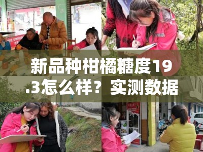 新品种柑橘糖度19.3怎么样？实测数据揭晓高糖甜蜜真相！