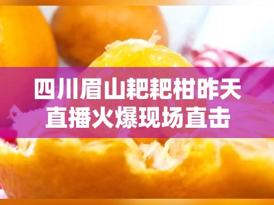 四川眉山耙耙柑昨天直播火爆现场直击，甜蜜爆汁引万人围观！
