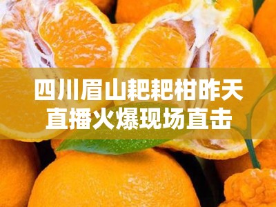 四川眉山耙耙柑昨天直播火爆现场直击，甜蜜爆汁引万人围观！