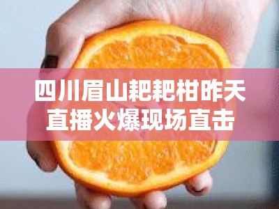 四川眉山耙耙柑昨天直播火爆现场直击，甜蜜爆汁引万人围观！