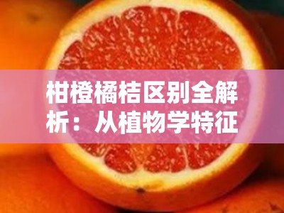 柑橙橘桔区别全解析：从植物学特征到文化象征的全面解读