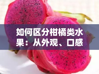 如何区分柑橘类水果：从外观、口感与常见品种入手的三步辨别法