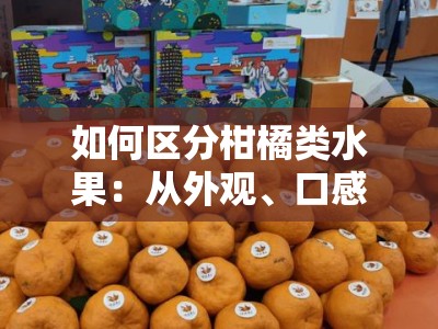 如何区分柑橘类水果：从外观、口感与常见品种入手的三步辨别法